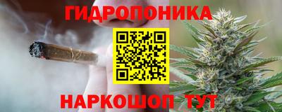 mdma Новозыбков