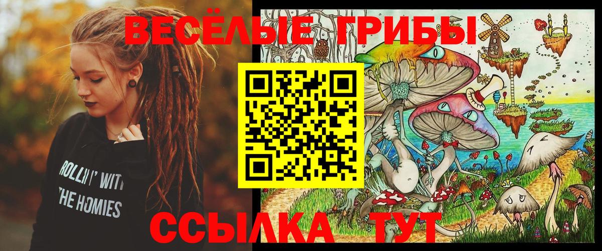 Галлюциногенные грибы Psilocybine cubensis  Псилоцибиновые грибы мицелий  Шадринск  Вход с VPN 