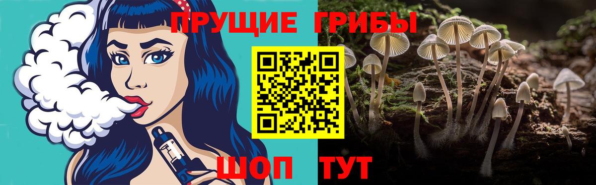 Псилоцибиновые грибы Psilocybine cubensis Шадринск
